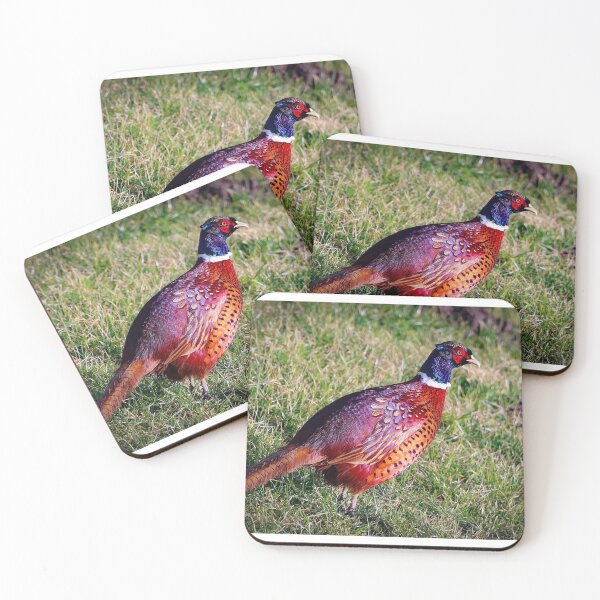 Item preview, Colorful pheasant designed and sold by Anita van Gendt.
