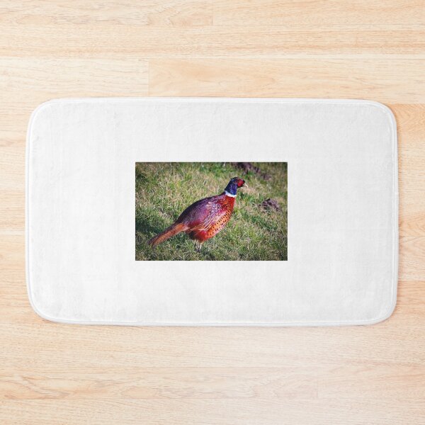 Item preview, Colorful pheasant designed and sold by Anita van Gendt.