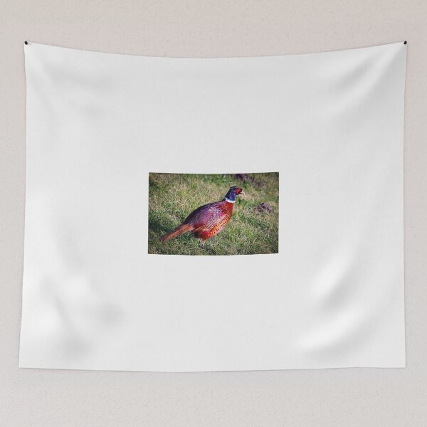 Item preview, Colorful pheasant designed and sold by Anita van Gendt.