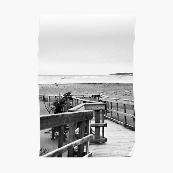 board walk ocean Poster