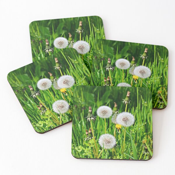 Item preview, White and yellow blowball ,dandelion designed and sold by Light79.