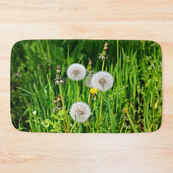 Item preview, White and yellow blowball ,dandelion designed and sold by Light79.