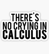 There's No Crying In Calculus Sticker
