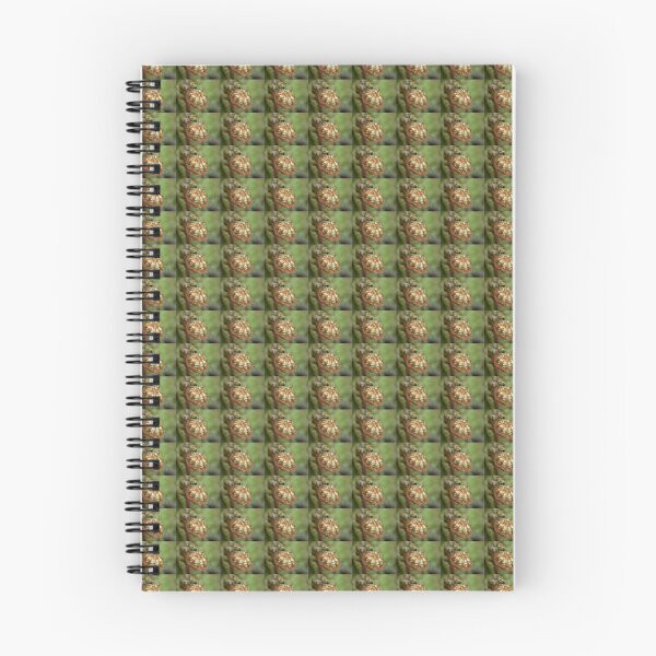 Item preview, Mosquito on Fern Frond, Cradle Mountain, Tasmania, Australia. designed and sold by kaysharp.