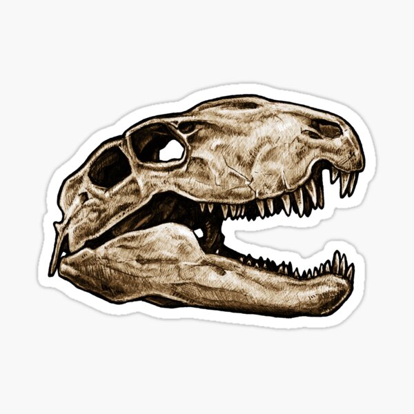 Item preview, Dimetrodon Skull Sticker designed and sold by CassWArt.