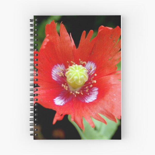 Item preview, Poppy Miscellany designed and sold by Janone.