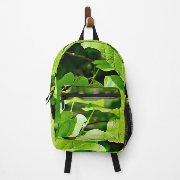 Item preview, Green leaves in spring photography designed and sold by Light79.