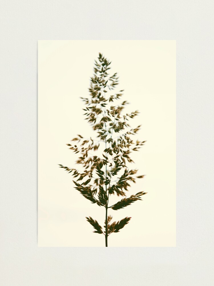 Alternate view of Day 361 - 5th July 2012 Photographic Print