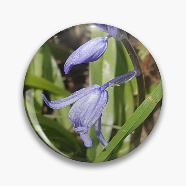 Item preview, Spring Bluebell designed and sold by AbnormalLoad.