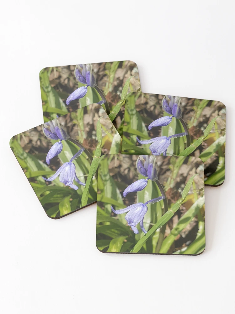 Thumbnail 1 of 5, Coasters (Set of 4), Spring Bluebell designed and sold by AbnormalLoad.