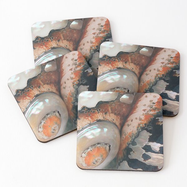 Item preview, Seashells designed and sold by CarolM.