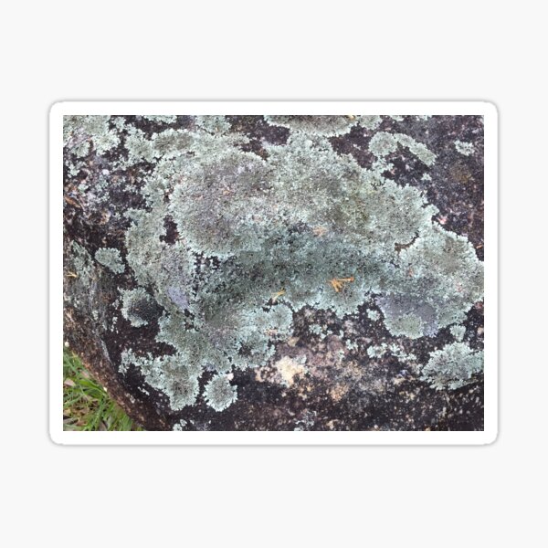 Item preview, Lichen designed and sold by Red Wolf.