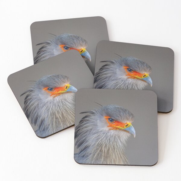 Item preview, A majestic Secretary bird designed and sold by Dalyndigital Photography.