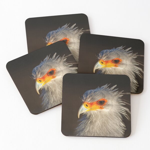 Item preview, Gorgeous light on a Secretary bird designed and sold by Dalyndigital Photography.