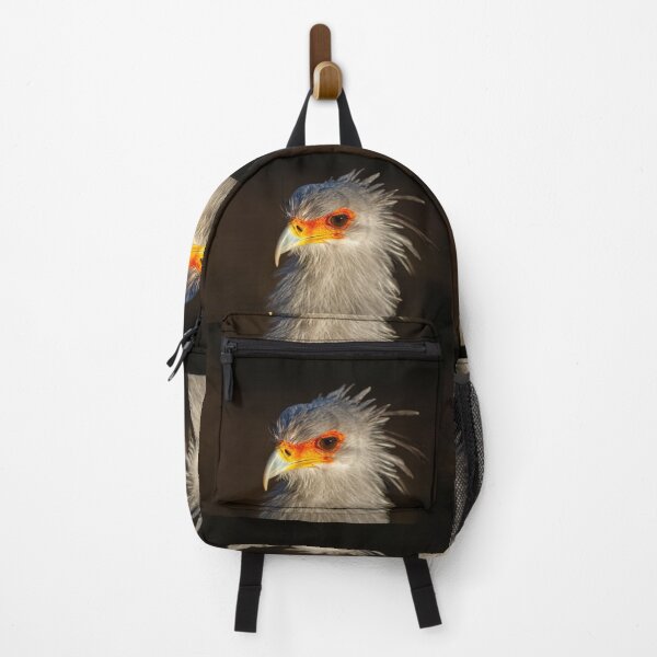 Item preview, Gorgeous light on a Secretary bird designed and sold by Dalyndigital Photography.