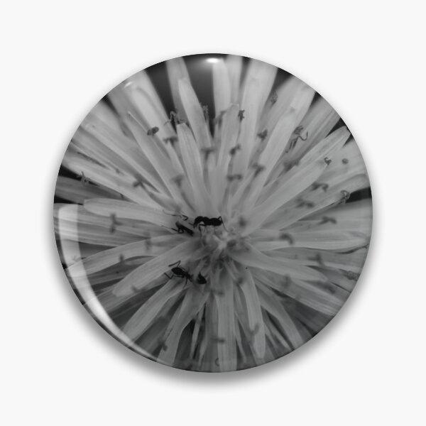 Item preview, Exploration of the dandelion  designed and sold by R-York.