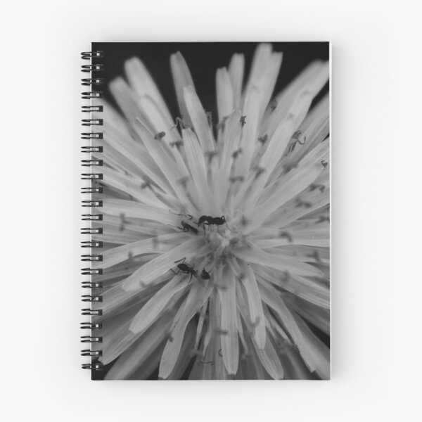 Item preview, Exploration of the dandelion  designed and sold by R-York.