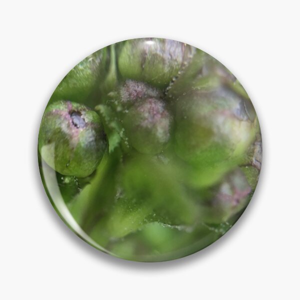 Item preview, Macro Photography 4 designed and sold by Charles Oliver Creations.