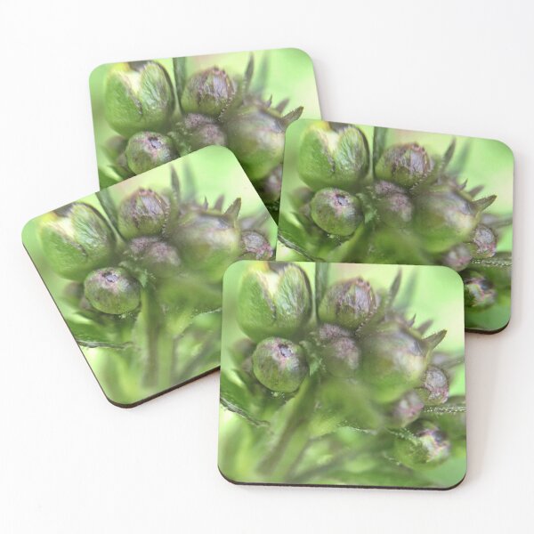 Item preview, Macro Photography 4 designed and sold by Charles Oliver Creations.
