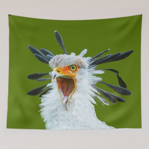 Item preview, You said what! designed and sold by Dalyndigital Photography.