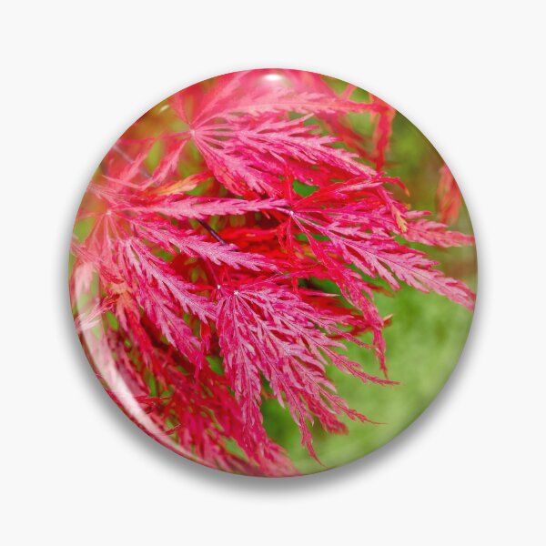 Item preview, Red Maple leaves designed and sold by Delphimages Art.