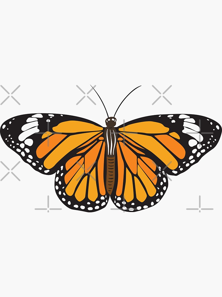 Monarch Butterfly Sticker For Sale By Plumblushco Redbubble 