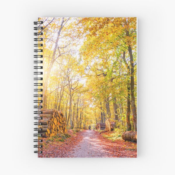 Item preview, Sunny autumn forest designed and sold by Delphimages Art.