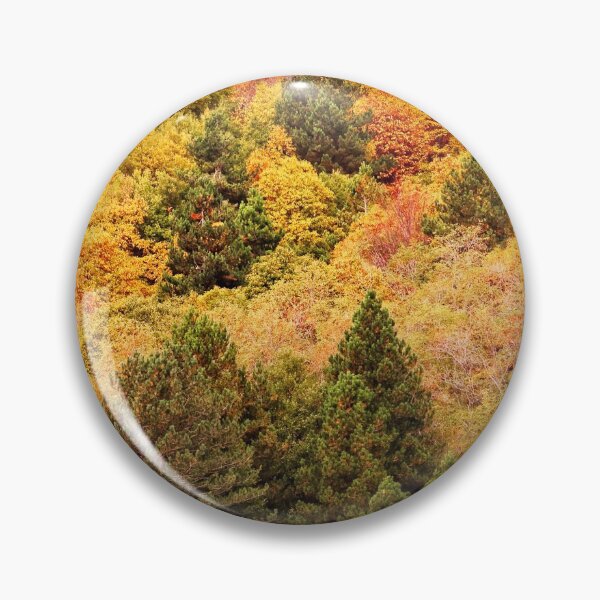 Item preview, Canopy in fall designed and sold by Delphimages Art.