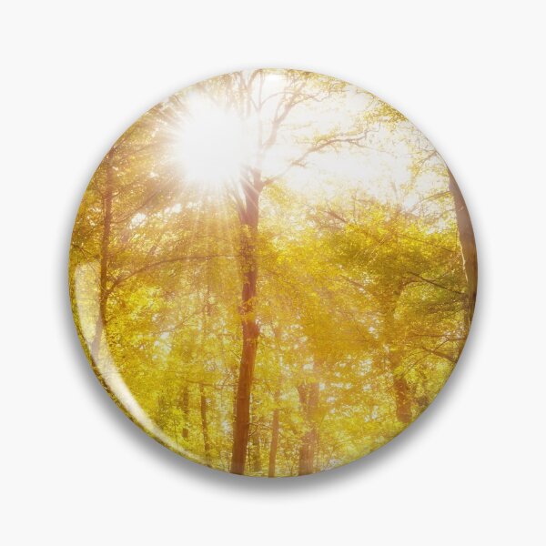 Artikelvorschau, Sonnenstrahlen im Wald entworfen und verkauft von Delphimages Art.