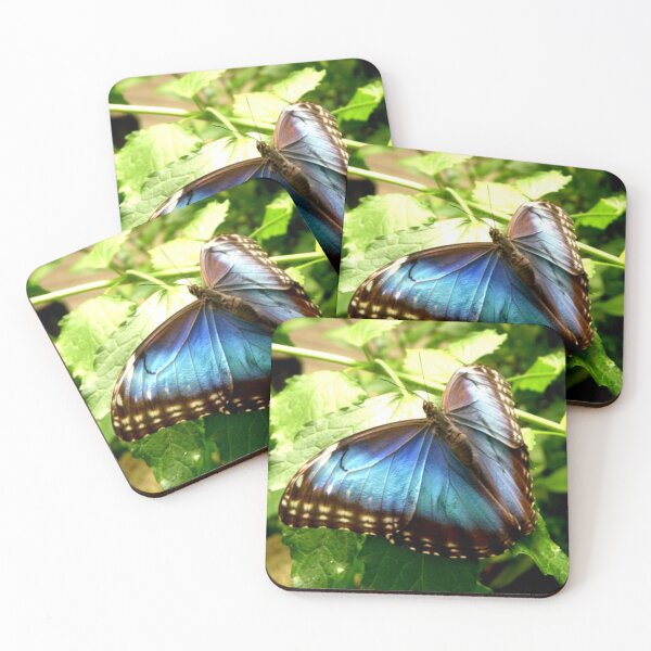 Item preview, Blue Morpho Butterfly designed and sold by Izayo-Darke1.