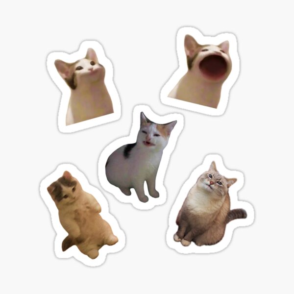 Beluga cat, Beluga Cat Meme, Meme Sticker for Sale by graphic-genie