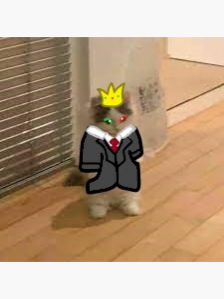 Ranboo Standing Cat Meme Sticker For Sale By Ghnguyen Redbubble