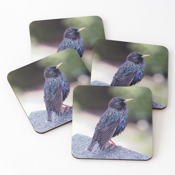 Item preview, Starling designed and sold by LosAnjali.