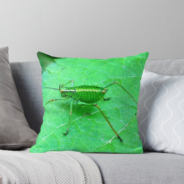 Item preview, Green Bush Cricket designed and sold by angel1.