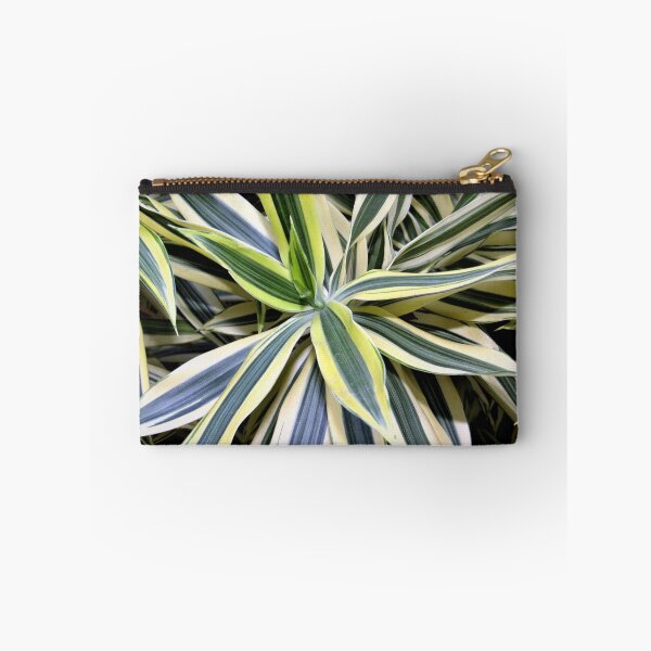 Item preview, Exotic Song of India Plant designed and sold by collingalanos80.