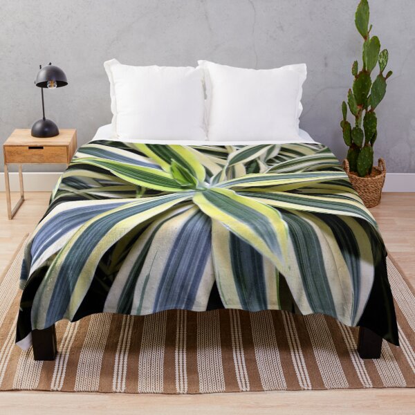 Item preview, Exotic Song of India Plant designed and sold by collingalanos80.