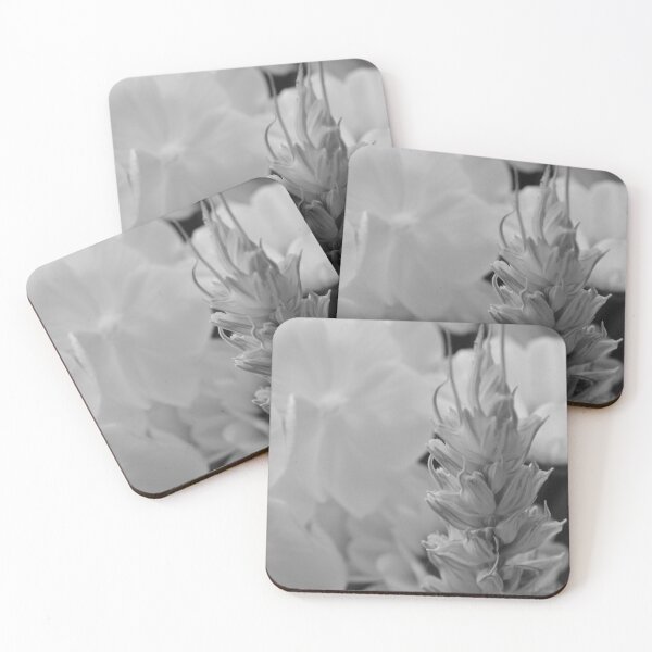 Item preview, A single piece of corn at harvest time  designed and sold by GFPhotography.