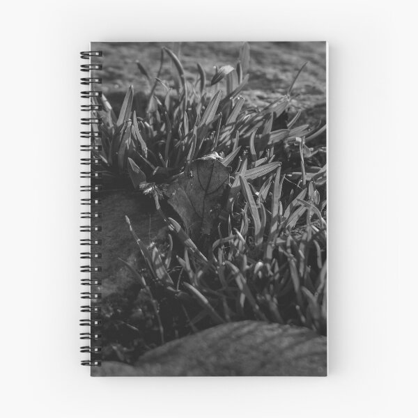 Item preview, Rock and grass in black and white designed and sold by R-York.