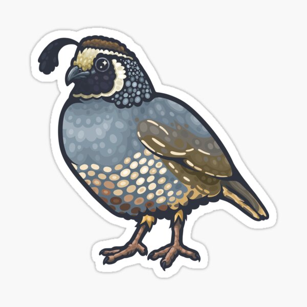 Item preview, California Quail designed and sold by Eambo's Cave.