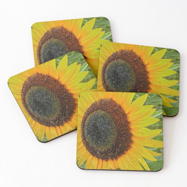 Item preview, Let The Sunshine Shine  designed and sold by John  Kapusta.