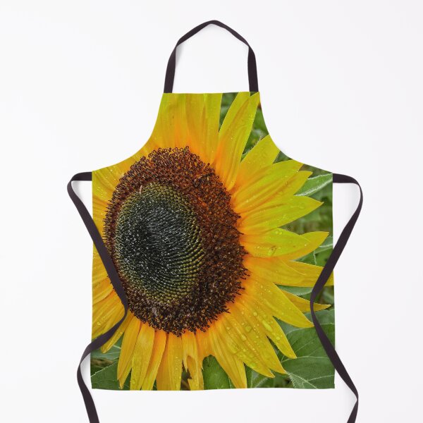 Item preview, Let The Sunshine Shine designed and sold by John Kapusta.