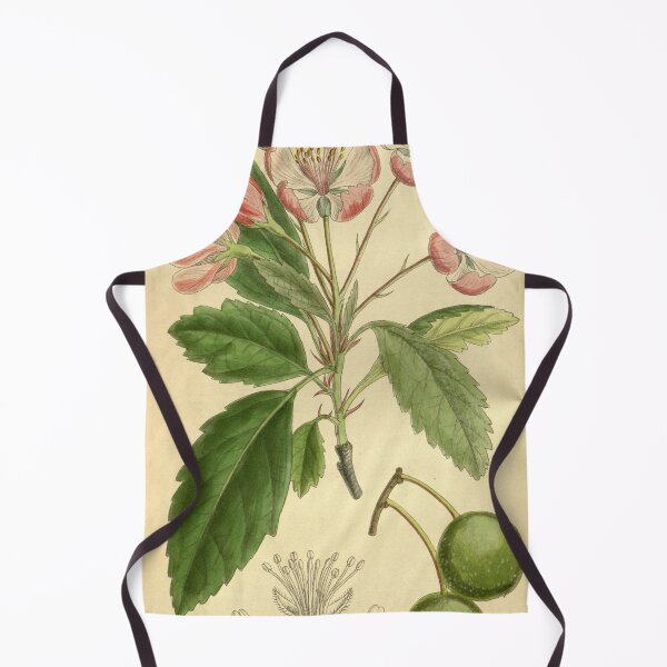 Item preview, Pyrus ioensis 139 8488 designed and sold by EsotericBotanic.