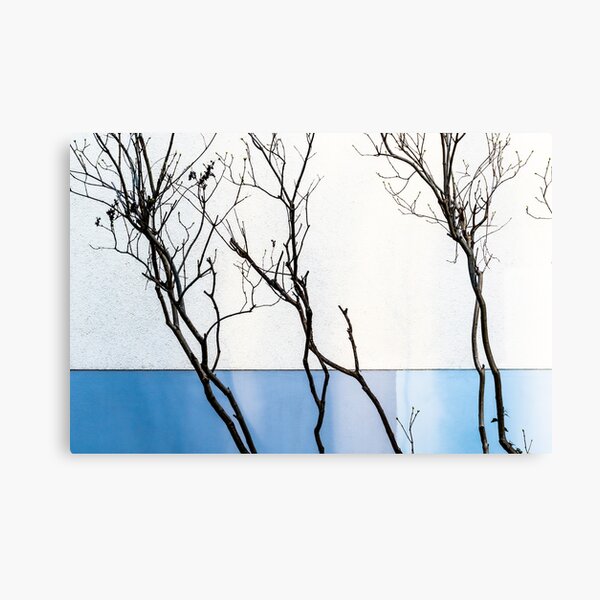 Leaning, Against The Wall Canvas Print