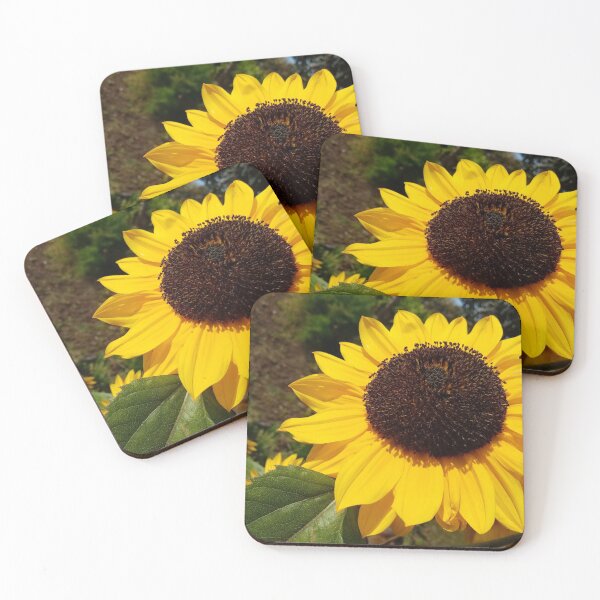 Item preview, Sunflowers designed and sold by Gaspar Avila.