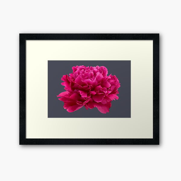 Item preview, Hot Pink Peony Close-up designed and sold by InalterataArt.