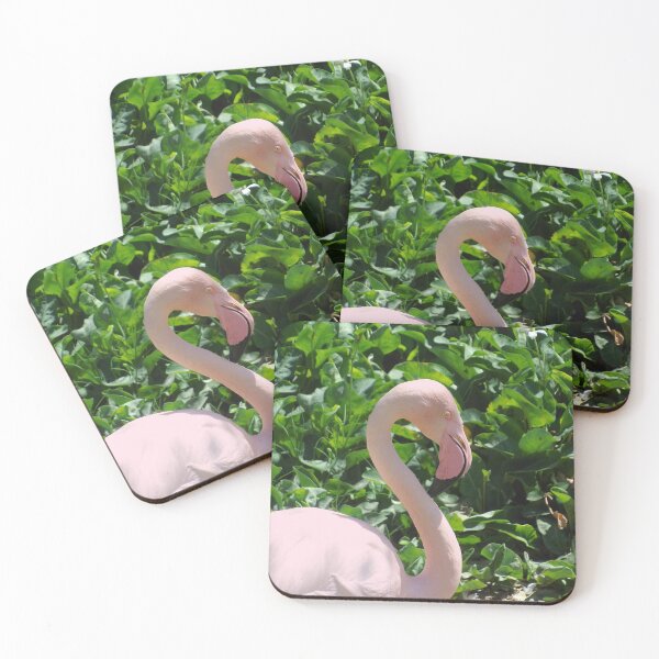 Item preview, Flamingo Bird Photo designed and sold by CoolCarVideos.