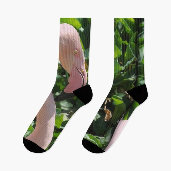 Item preview, Flamingo Bird Photo designed and sold by CoolCarVideos.