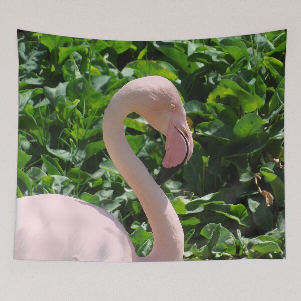 Item preview, Flamingo Bird Photo designed and sold by CoolCarVideos.
