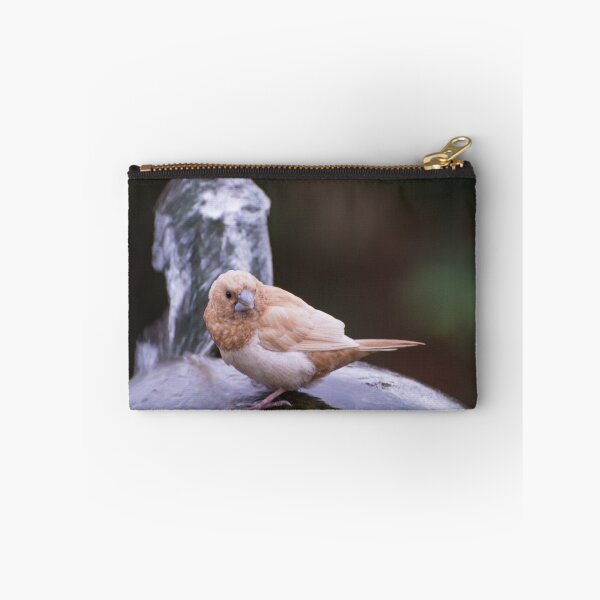 Item preview, Thirsty Bird On Water Feature designed and sold by JohnYoung.
