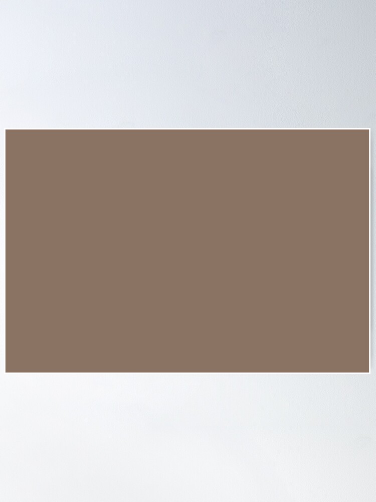 Nuthatch Medium Brown Solid Color Single Accent Shade Hue